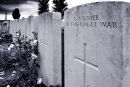 War graves in a commonwealth cemetry