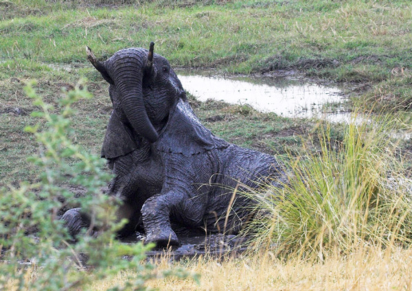 Bath Time.