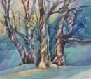 Copse on the Slips