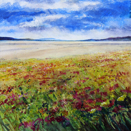 Harris machair