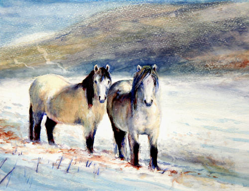 Highlands in the snow