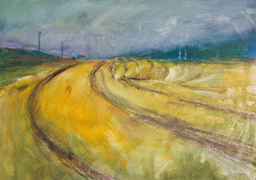 Scalloway Fields