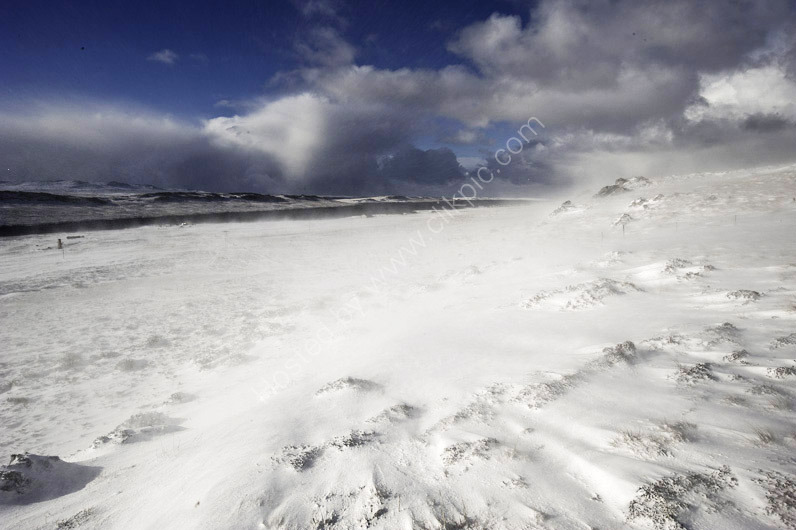 Snow Scenes-20
