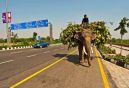  DSC1550 India's Variety of Road Haulage