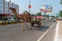  DSC1875 India's Variety of Road Haulage
