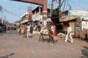  DSC1876 India's Variety of Road Haulage