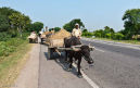  DSC1886 India's Variety of Road Haulage