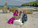 Sea Lion Island Wedding