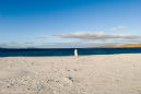 Long Island Wedding