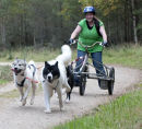 Culbin Huskies-04