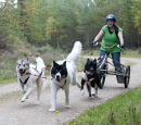 Culbin Huskies-09