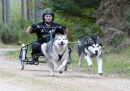 Culbin Huskies-11