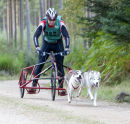 Culbin Huskies-12