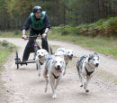 Culbin Huskies-13
