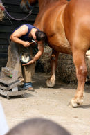 Man At work