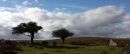 Dartmoor