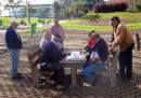 Domino's in the Park