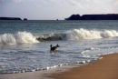 Tenby Beach