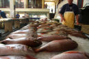 Fishmarket