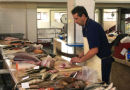 Fishmonger in the Market