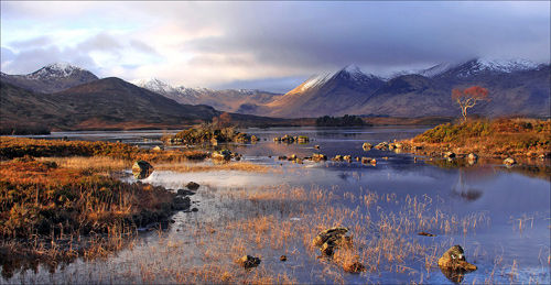 Morning Has Broken' by Bill Spence