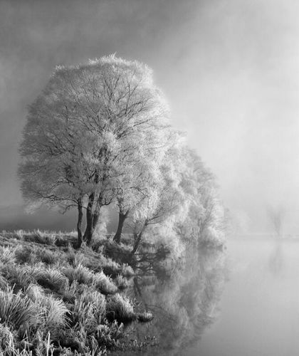 Hoar frost, Glen Dochart