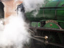 Steam & Steel