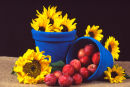 Sunflowers and Fruit