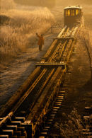 The Signal