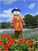 Scarecrow at Burton Agnes