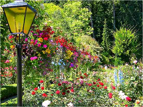 Butchart Gardens
