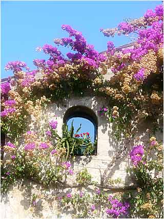 Window at Simione
