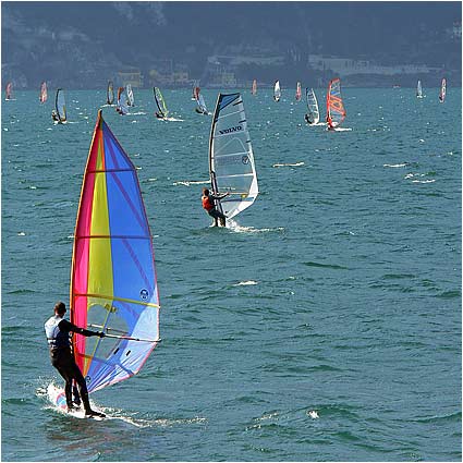 Windsurfers