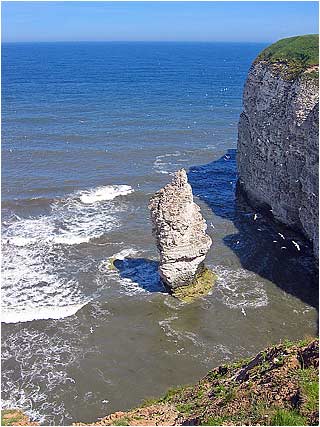 Sea Sculpture