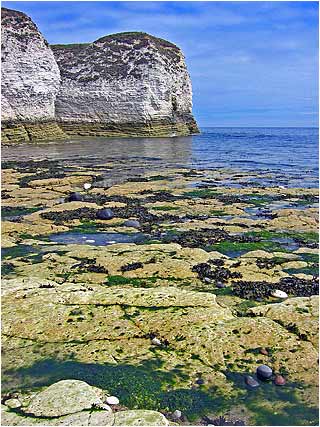 Selwick Bay
