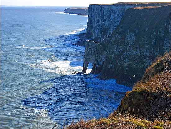 Bempton Cliffs