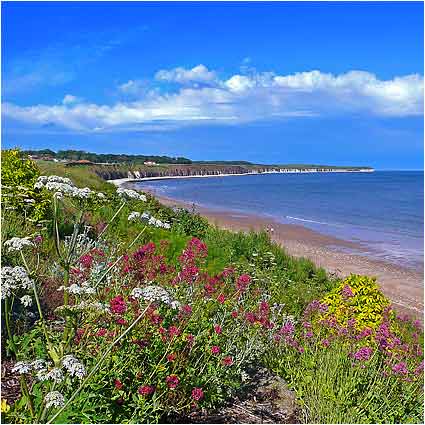 Summertime, Flamborough Head