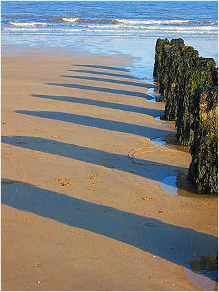 Beach Shadows
