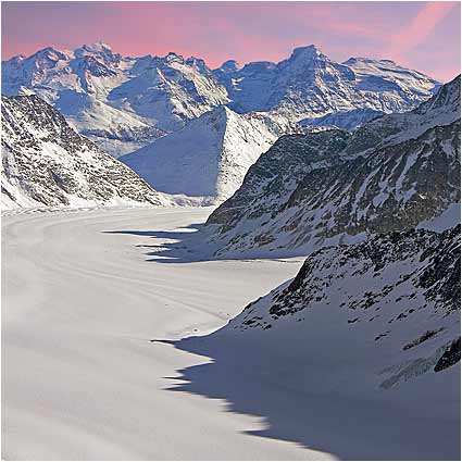 The Aletsch Glacier