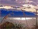 Where Mountains meet Sea