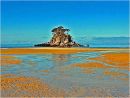 Abel Tasman National Park