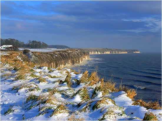 Flamborough Head 23.11.08