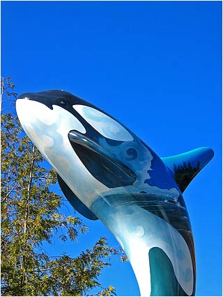 Orca