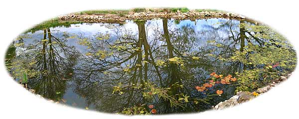 Crook Hall Pond