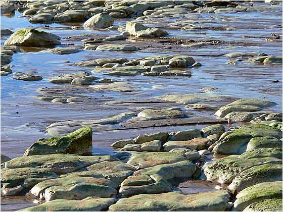 Chalk Outcrop