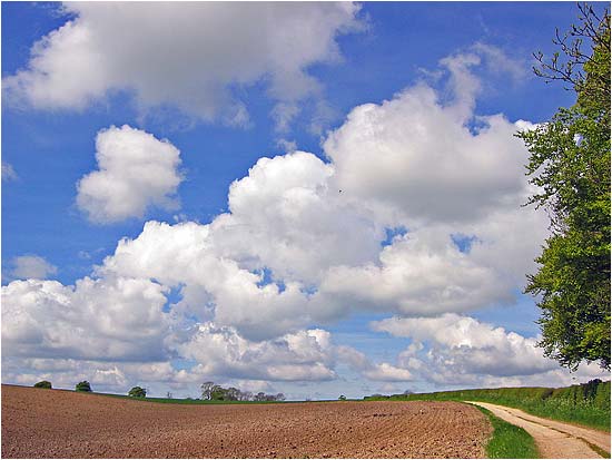 Top of Milham Dale