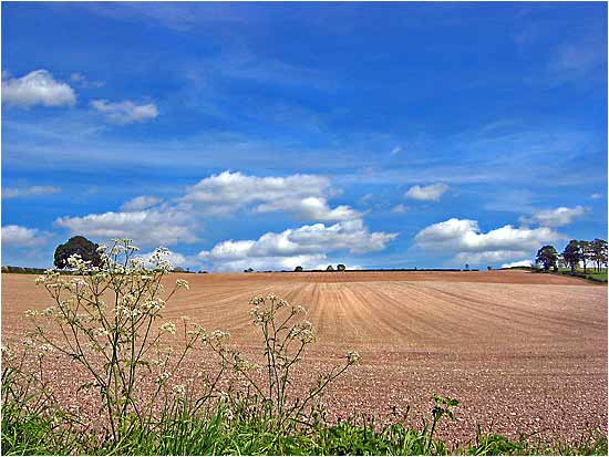 View from Little Givendale Farm