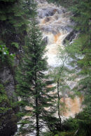 View from the top of Plodda Falls
