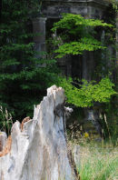 Ruins at Guisachan House near Tomich