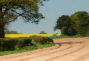 Field near Snape in Suffolk